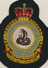444 Squadron badge