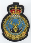 448 Test Squadron badge