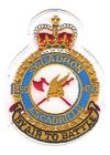 450 Squadron badge