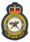 450 Squadron badge