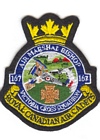 167 Squadron badge