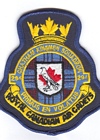 294 Squadron badge