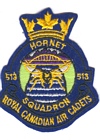 513 Squadron badge