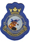 691 Squadron badge