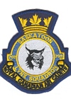 702 Squadron badge