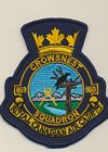 859 Squadron badge