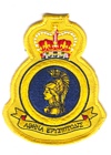 Operations Support Centre (Pacific) badge
