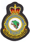 14 Squadron badge