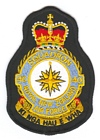40 Squadron badge