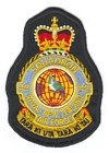 42 Squadron badge