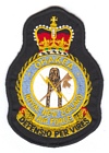 Base Ohakea badge