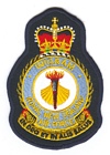 Base Wigram badge
